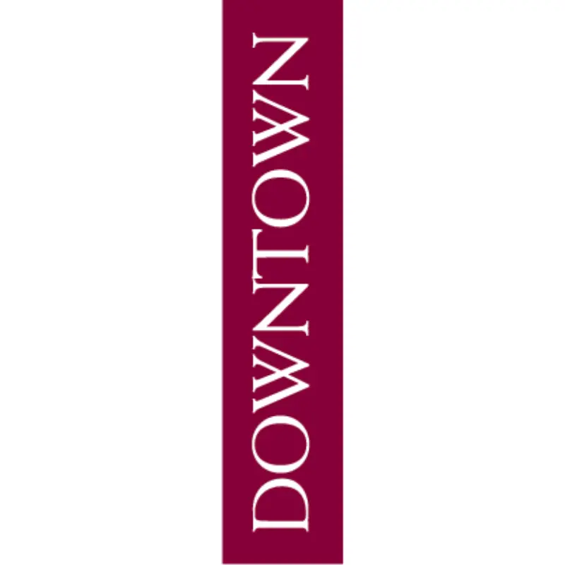 Downtown Side Car Street Banner