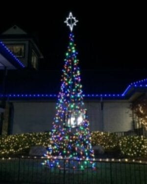 25' LED Tree of Lights