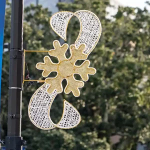 Presidential Snowflake pole mount Christmas light display illuminated at night