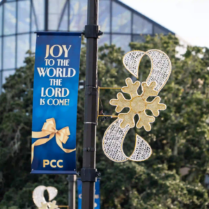 Snowflake and Ribbon pole mount Christmas decoration installed on a street light pole