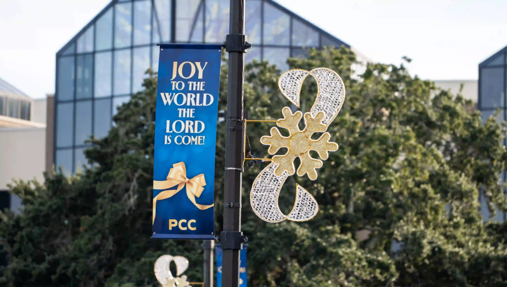 Decorative snowflake and ribbon commercial light pole decoration on pole