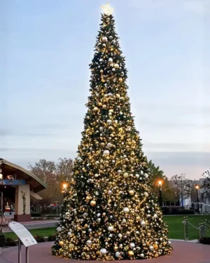 Large outdoor Christmas tree with golden lights