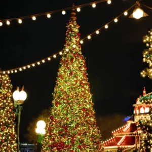 Large illuminated Christmas tree at night