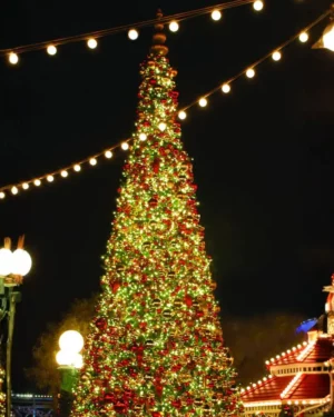 Large illuminated Christmas tree at night