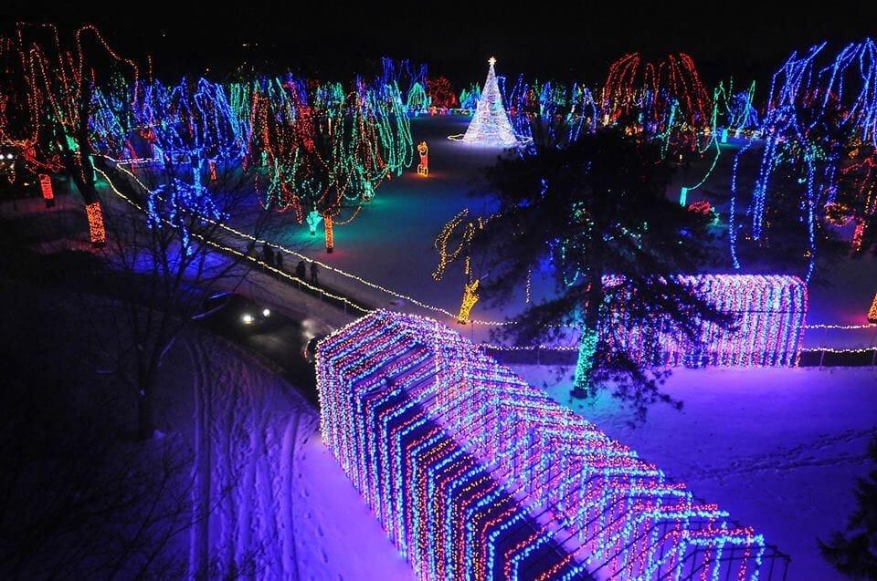 5 Types of Outdoor Christmas Decorations