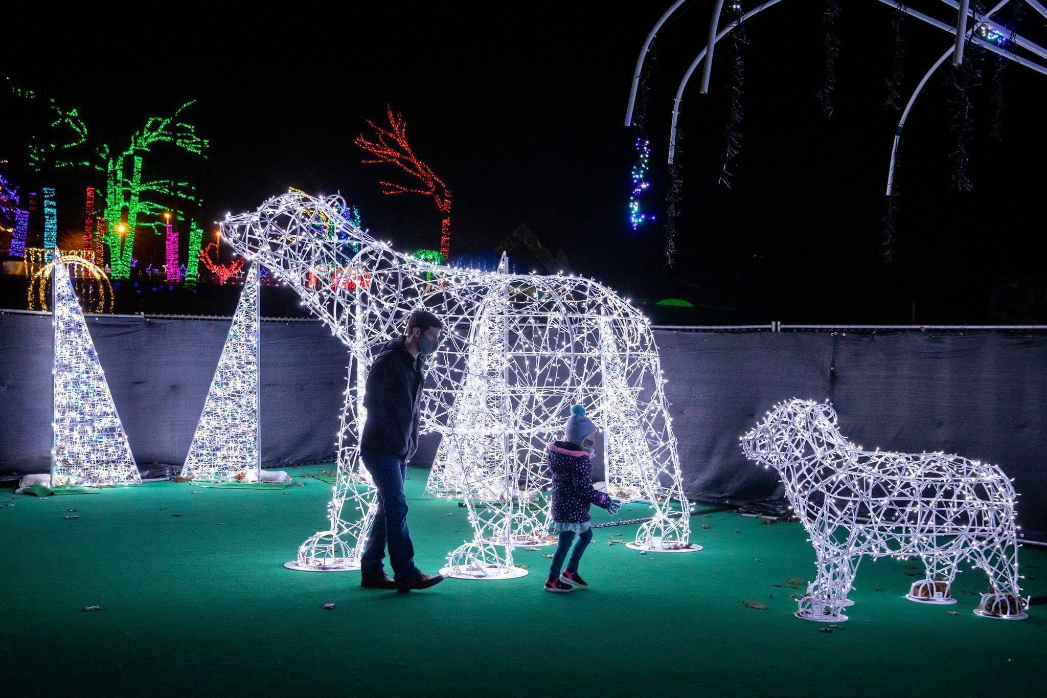 5 Types of Outdoor Christmas Decorations
