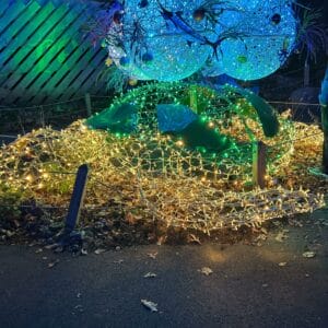 3D Sea Turtle Light Display