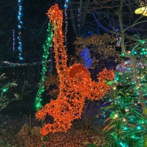 3D Orangutang Light Display