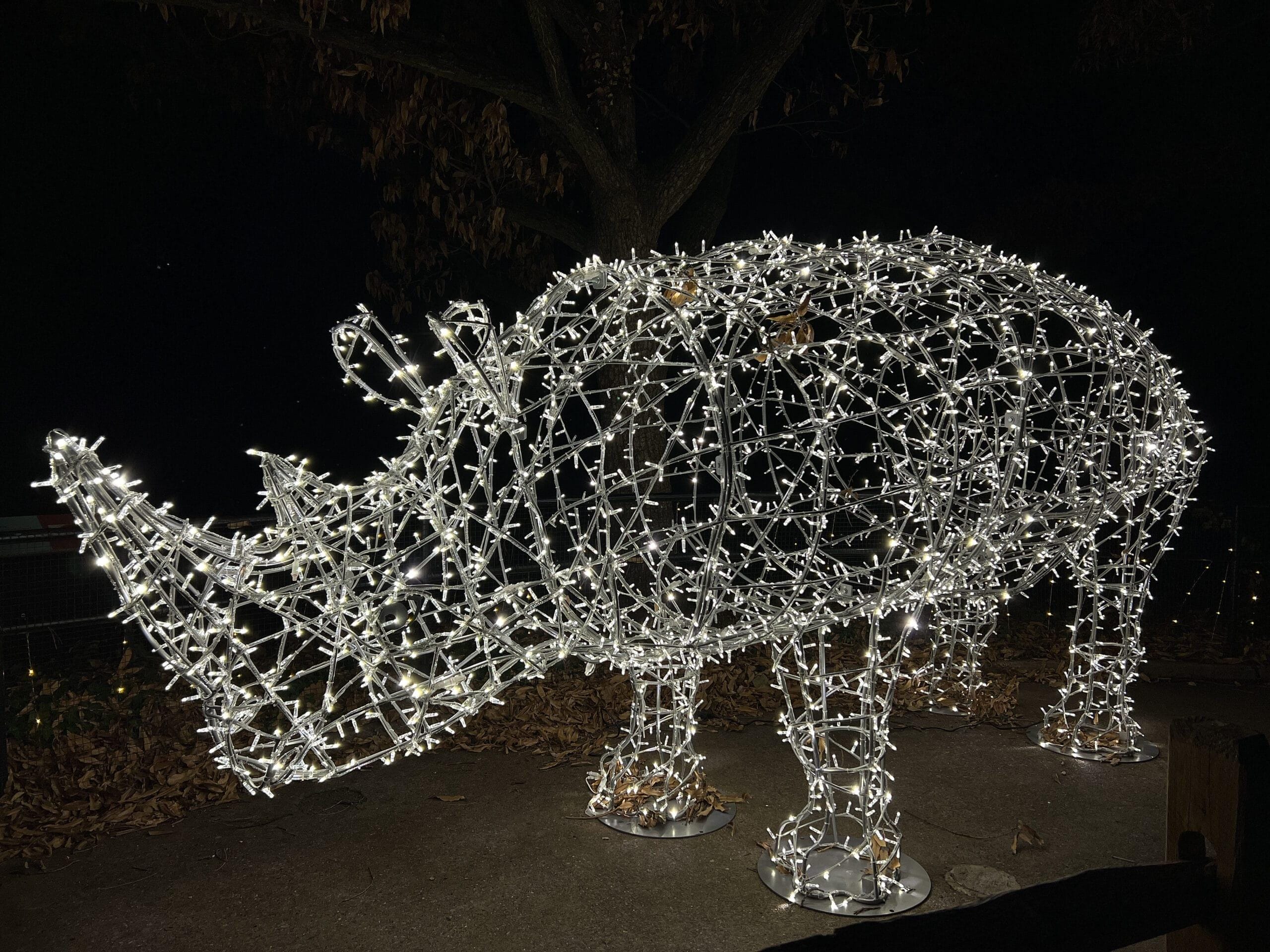 3D Rhinoceros Light Display - Image 2
