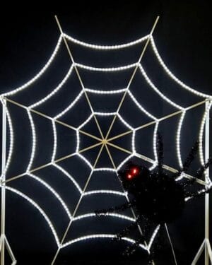Halloween Spider Web Selfie Display