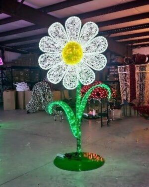 8' Masson Daisy Flower