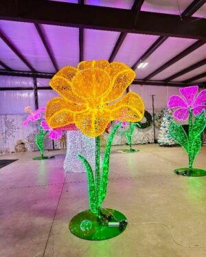 Daffodil Flower Dimensional Display