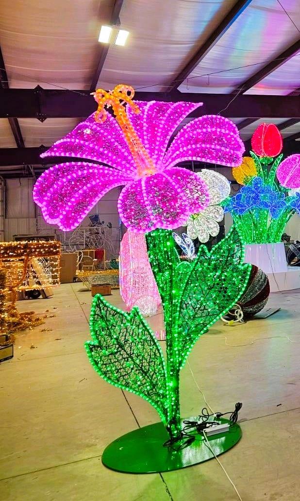 Single Hibiscus Flower Dimensional Display