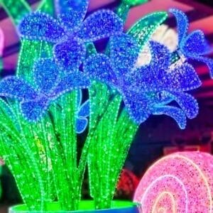 Lily Flower Dimensional Display