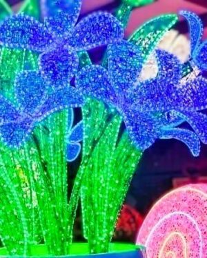 Lily Flower Dimensional Display