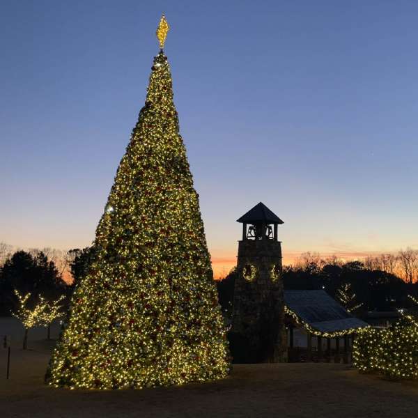 Tower Tree