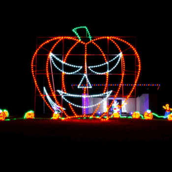 Halloween Light Displays