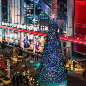 Commercial Christmas Trees