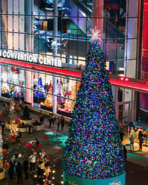 Commercial Christmas Trees