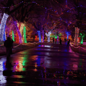 Website Updated Photos (88)