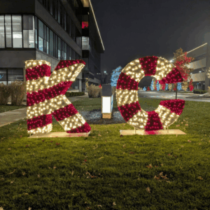 Commercial Christmas Decorations
