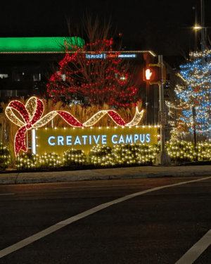 Commercial Christmas Decor