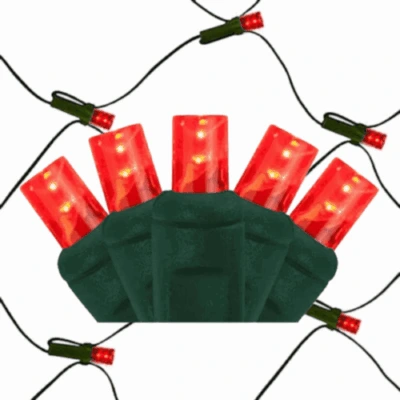 LED Net Lights