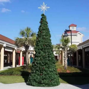 Tall Christmas tree in sunny outdoor plaza
