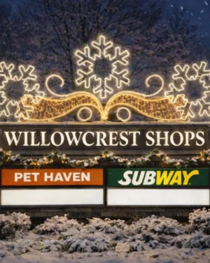 Snowfall Sign Enhancer