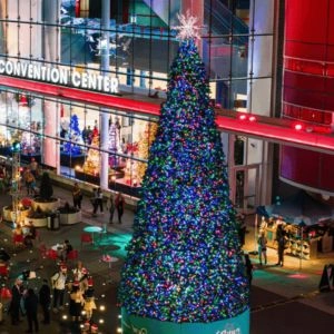 Commercial Trees