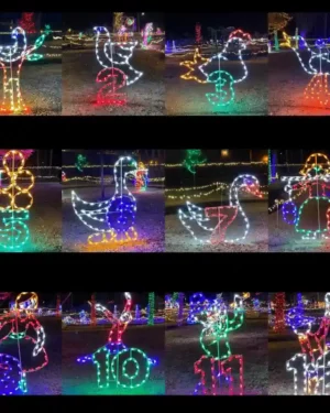 Colorful Twelve Days of Christmas commercial Christmas light display