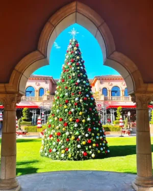 Large decorated commercial Christmas tree in sunny courtyard