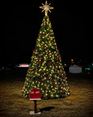 Large outdoor Christmas tree with lights at night
