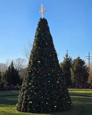 Large outdoor Christmas tree with star topper