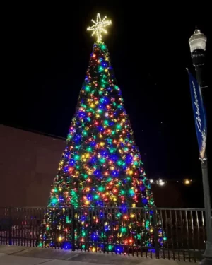Large outdoor Christmas tree with colorful lights at night
