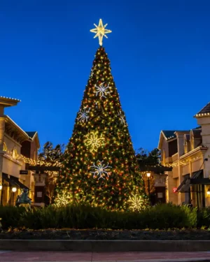 Large illuminated Christmas tree in shopping plaza at night