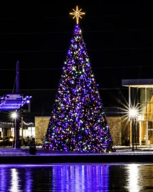 Large outdoor Christmas tree with colorful lights at night