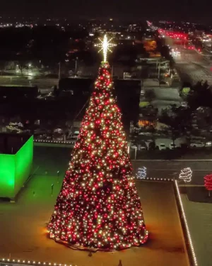 Giant illuminated Christmas tree in city at night