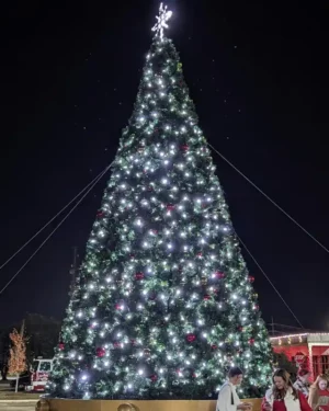 Large illuminated Panel Christmas tree at night outdoors
