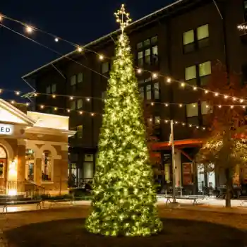 Illuminated Commercial Christmas Pop Up tree in town square at night