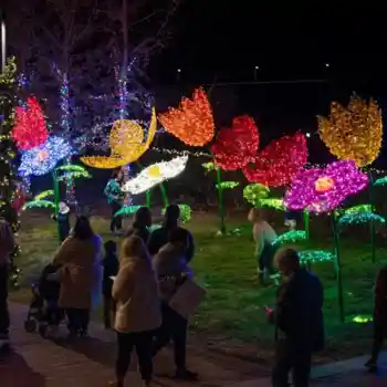 Colorful illuminated giant oversized flower displays at night festival