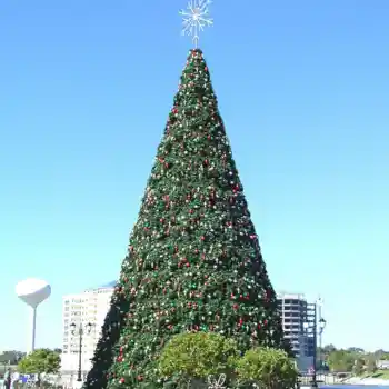 Large decorated commercial Christmas tree under blue sky