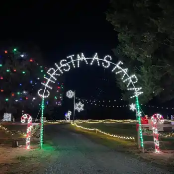 Christmas Farm custom lighted arch and holiday display at night