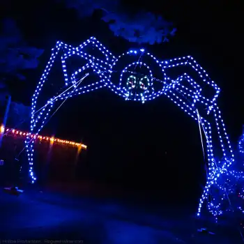 Giant spider-shaped light arch at night