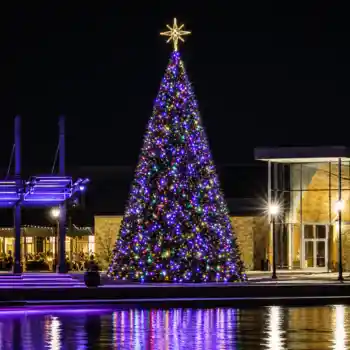 Illuminated Commercial Panel Christmas tree by waterfront at night