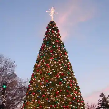Large star commercial Christmas tree topper on top of Christmas tree at dusk