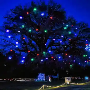 Large tree decorated with colorful holiday led starburst lights