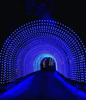 Commercial RGB Walk Through Tunnel lit up in vivid blues and purples on a dark winter night
