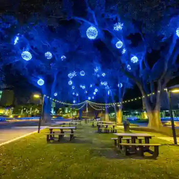 Park with glowing blue LED light spheres in trees at night