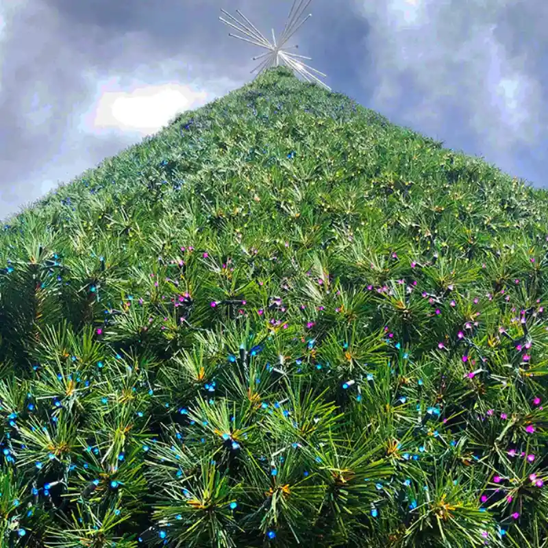 Pyramid-shaped tree covered in colorful lights